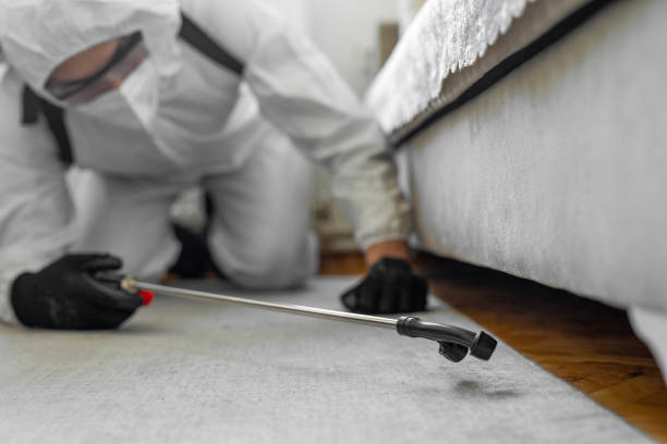 Professional Bed Bug Control technician working in Olney, IL